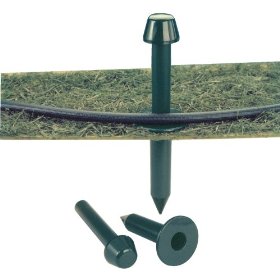 Dramm 13001 Premium Garden Gard Hose Spike - Green